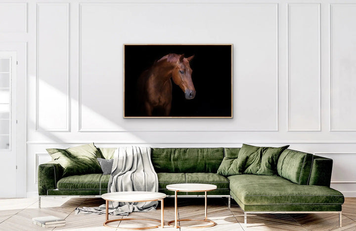 Stallion - Horse Against Black Stretched Canvas Print or Framed Fine Art Print I Heart Wall Art Australia