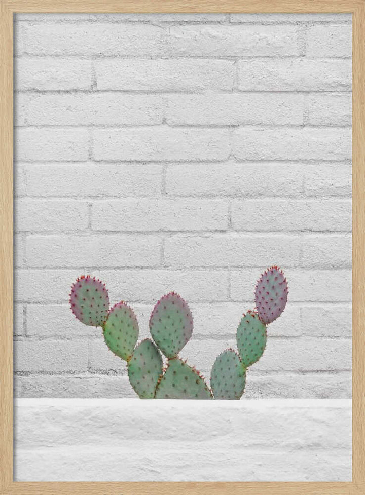 Stay Sharp - Stretched Canvas, Poster or Fine Art Print - I Heart Wall Art - Poster Print, Canvas Print or Framed Art Print
