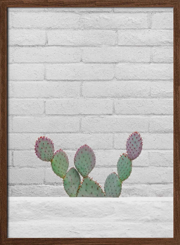 Stay Sharp - Stretched Canvas, Poster or Fine Art Print - I Heart Wall Art - Poster Print, Canvas Print or Framed Art Print