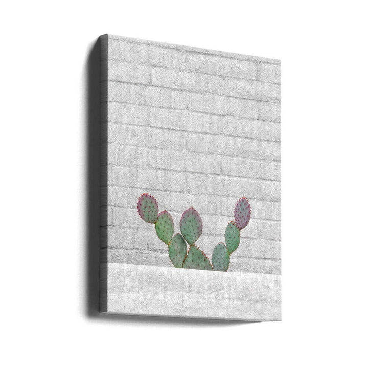 Stay Sharp - Stretched Canvas, Poster or Fine Art Print - I Heart Wall Art - Poster Print, Canvas Print or Framed Art Print