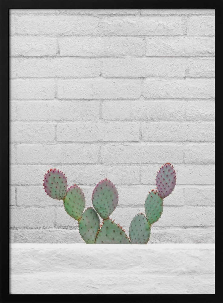 Stay Sharp - Stretched Canvas, Poster or Fine Art Print - I Heart Wall Art - Poster Print, Canvas Print or Framed Art Print