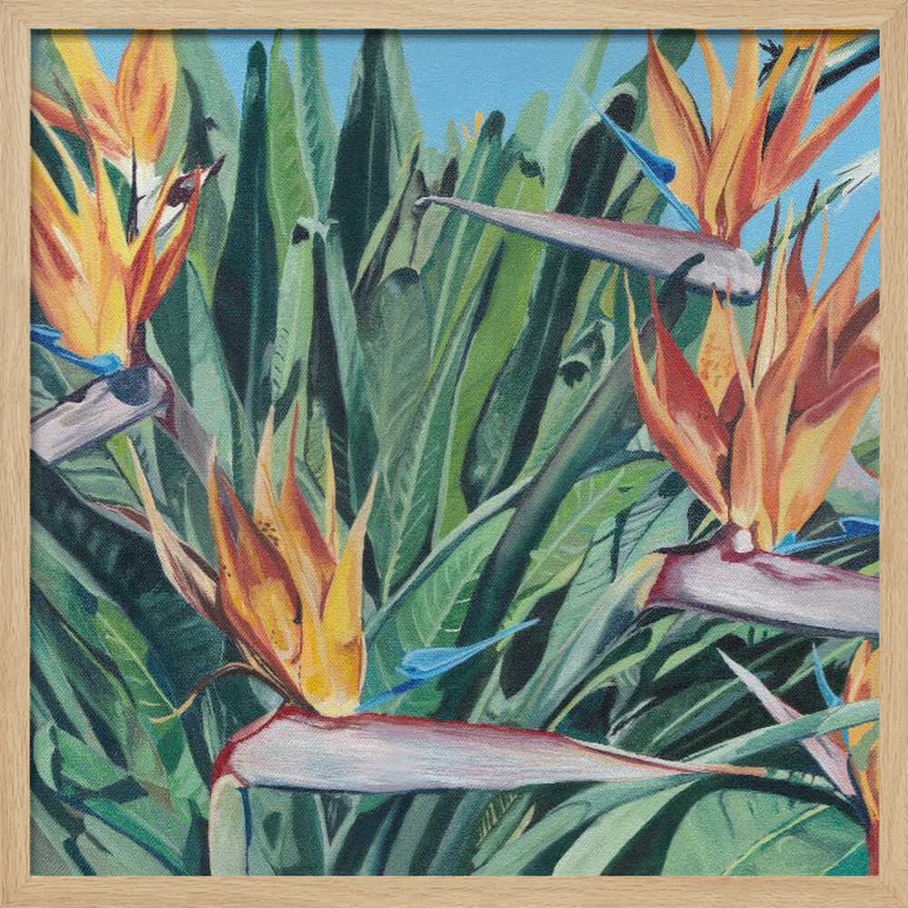 Stelitzia 3 By Viccy Wanliss - Square Stretched Canvas, Poster or Fine Art Print - I Heart Wall Art - Poster Print, Canvas Print or Framed Art Print