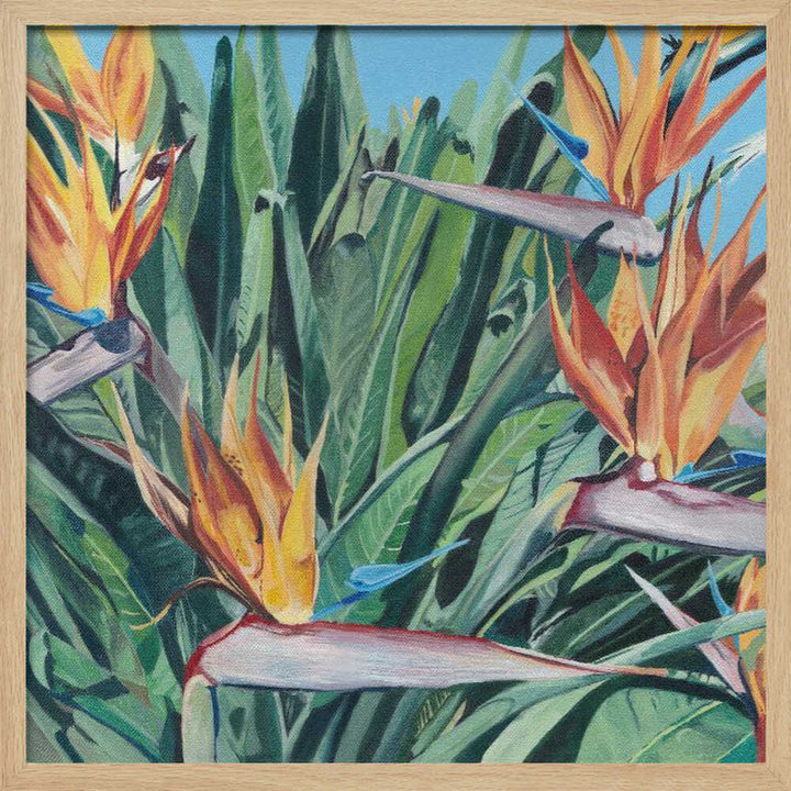 Stelitzia 3 By Viccy Wanliss - Square Stretched Canvas, Poster or Fine Art Print - I Heart Wall Art - Poster Print, Canvas Print or Framed Art Print