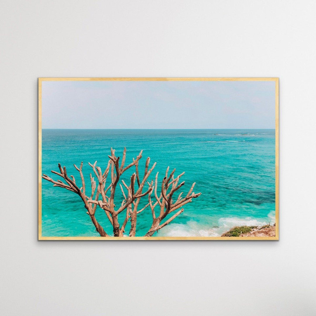 Stradbroke Island - Queensland Beach Art or Canvas Prints - I Heart Wall Art