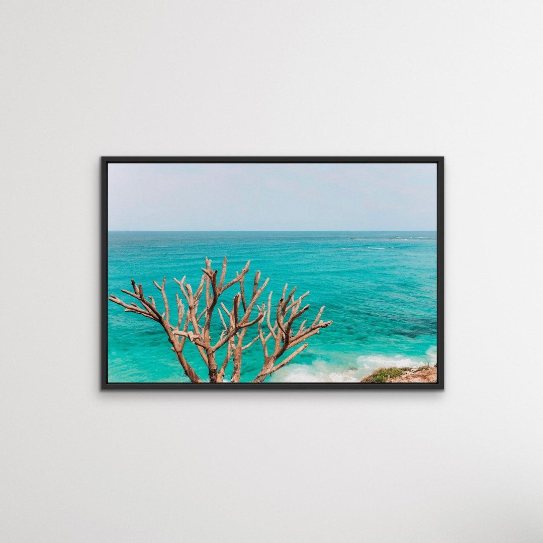 Stradbroke Island - Queensland Beach Art or Canvas Prints - I Heart Wall Art