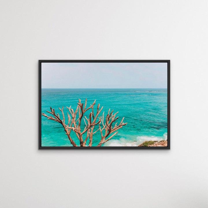 Stradbroke Island - Queensland Beach Art or Canvas Prints - I Heart Wall Art