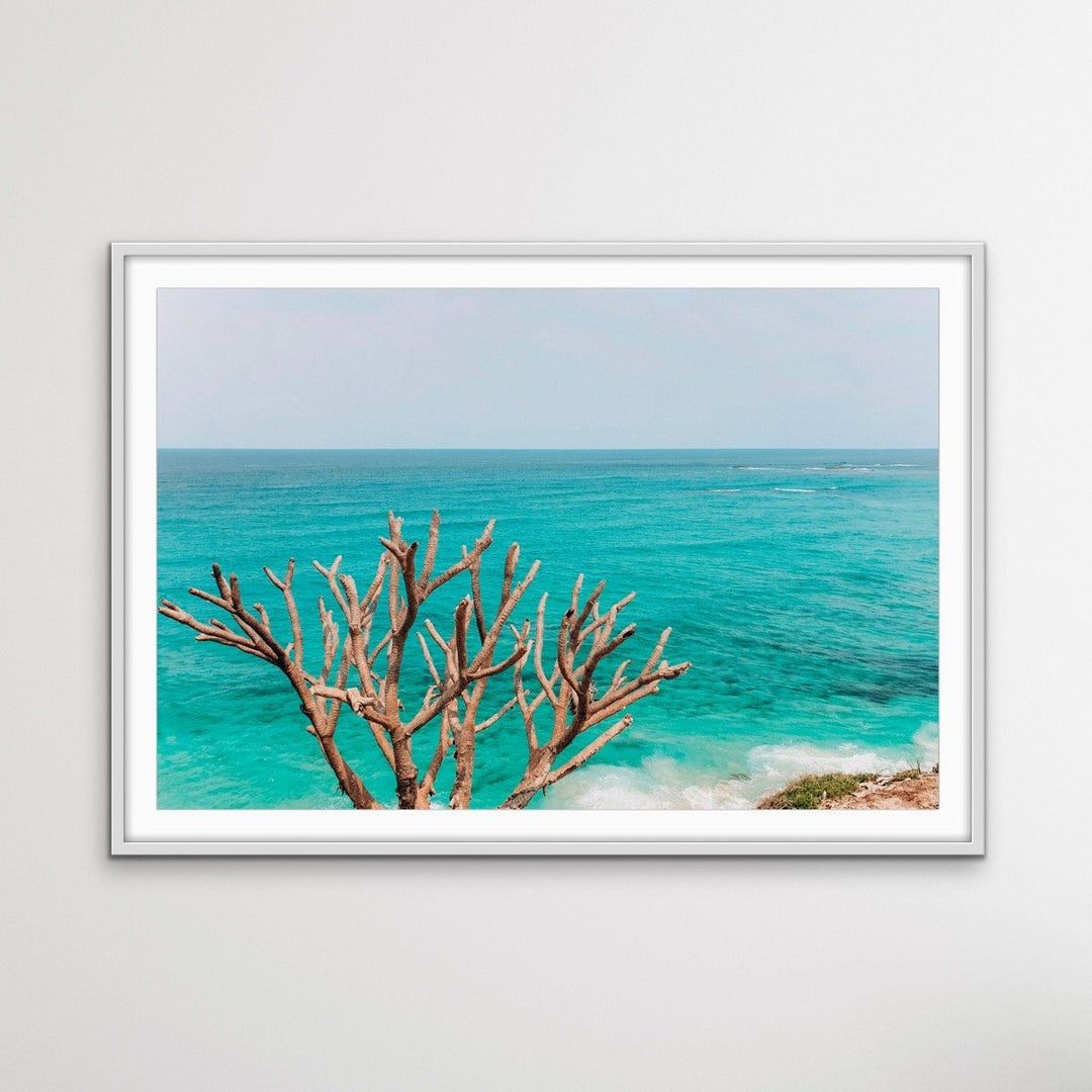 Stradbroke Island - Queensland Beach Art or Canvas Prints - I Heart Wall Art