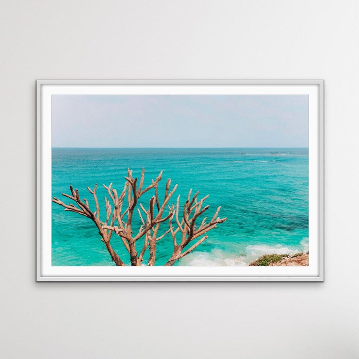 Stradbroke Island - Queensland Beach Art or Canvas Prints - I Heart Wall Art