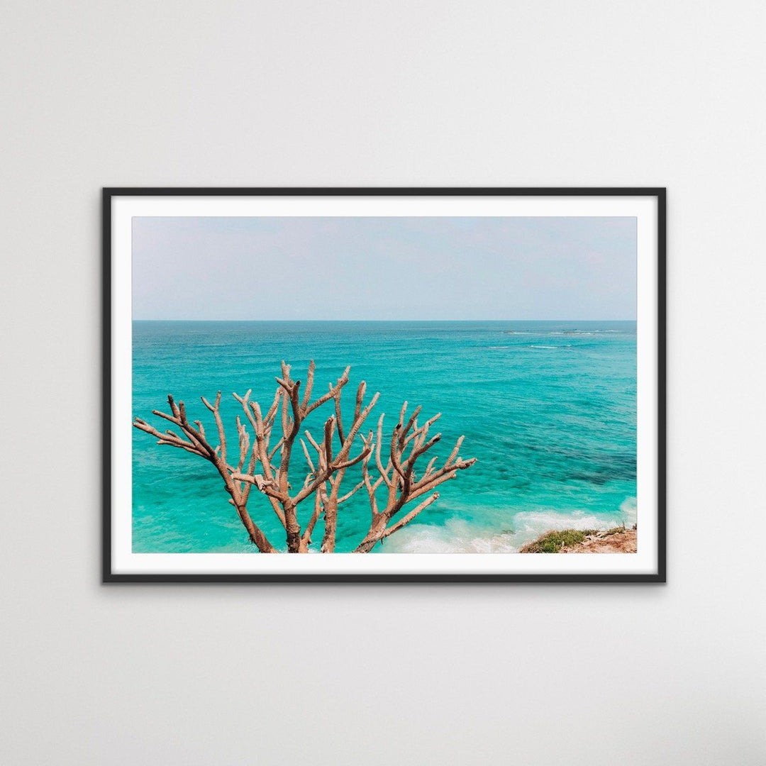 Stradbroke Island - Queensland Beach Art or Canvas Prints - I Heart Wall Art