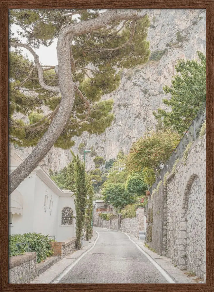 Streets of Capri - Stretched Canvas, Poster or Fine Art Print I Heart Wall Art