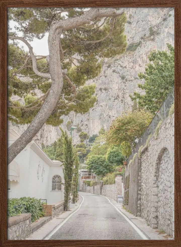 Streets of Capri - Stretched Canvas, Poster or Fine Art Print I Heart Wall Art