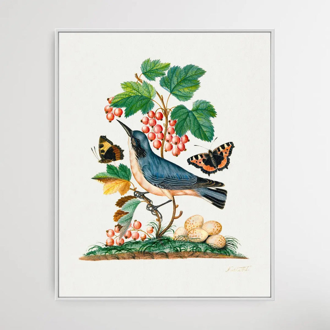 Subalpine Warbler 1768 by James Bolton - I Heart Wall Art