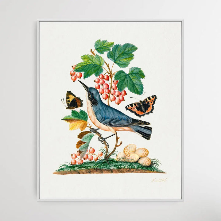 Subalpine Warbler 1768 by James Bolton - I Heart Wall Art