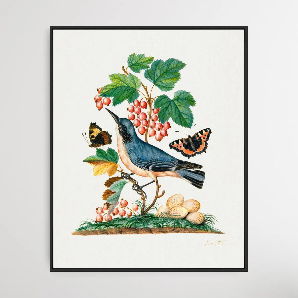 Subalpine Warbler 1768 by James Bolton - I Heart Wall Art