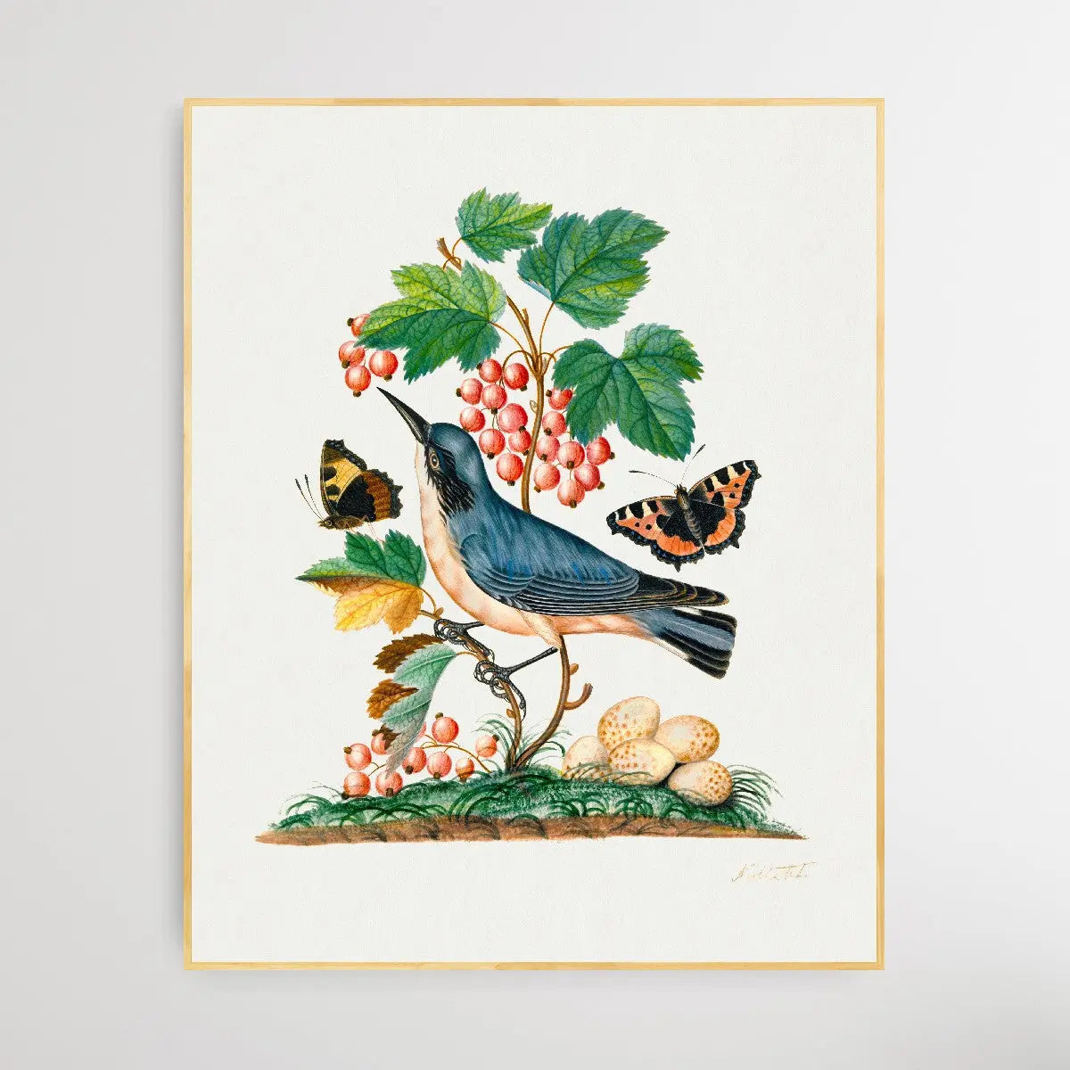 Subalpine Warbler 1768 by James Bolton - I Heart Wall Art