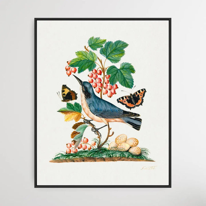 Subalpine Warbler 1768 by James Bolton - I Heart Wall Art