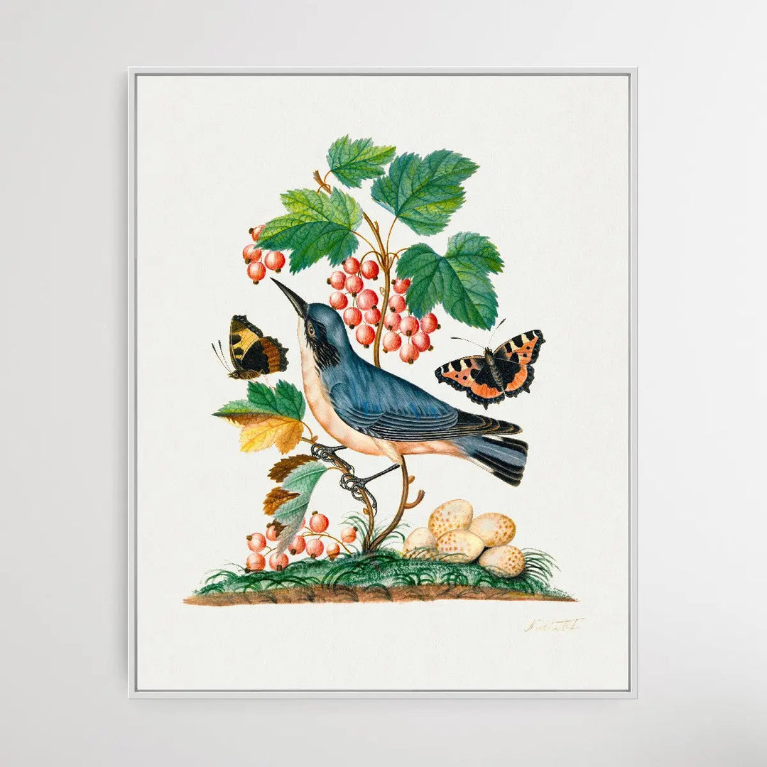 Subalpine Warbler 1768 by James Bolton - I Heart Wall Art