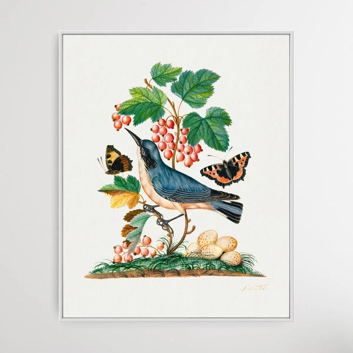 Subalpine Warbler 1768 by James Bolton - I Heart Wall Art