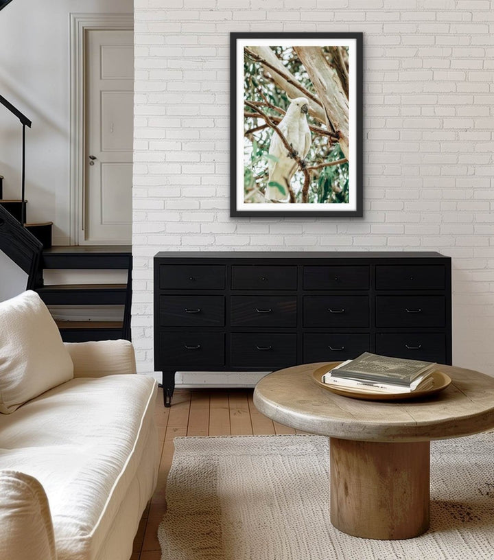 Sulphur Crested Cockatoo - Stretched Canvas, Poster or Fine Art Print - I Heart Wall Art - Poster Print, Canvas Print or Framed Art Print
