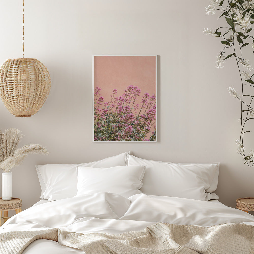 Summer Flowers - Stretched Canvas, Poster or Fine Art Print I Heart Wall Art