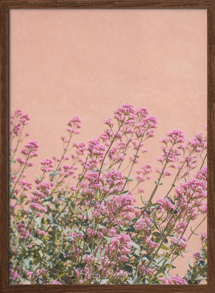 Summer Flowers - Stretched Canvas, Poster or Fine Art Print I Heart Wall Art