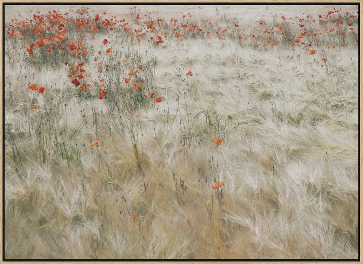Summerfield - Stretched Canvas, Poster or Fine Art Print I Heart Wall Art