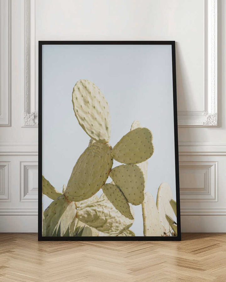 Sunlit Cactus - Stretched Canvas, Poster or Fine Art Print - I Heart Wall Art - Poster Print, Canvas Print or Framed Art Print