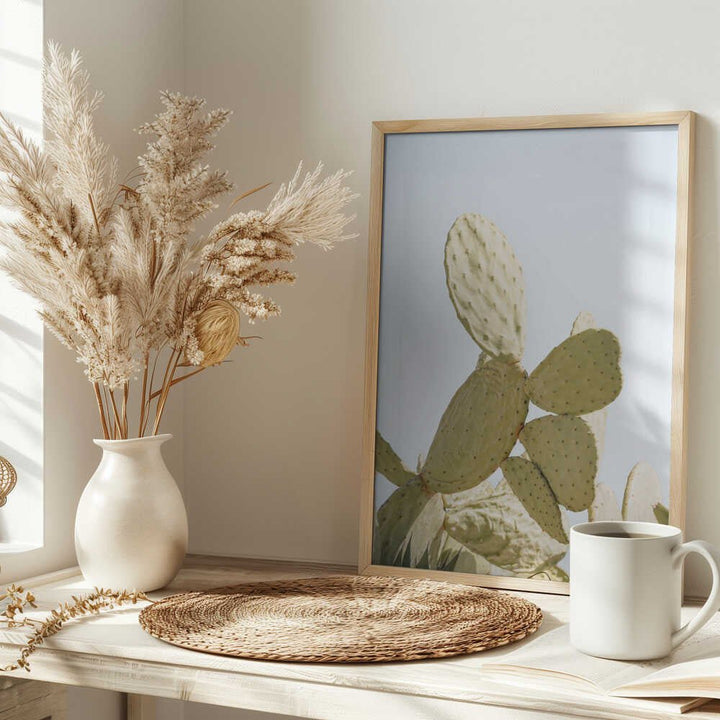 Sunlit Cactus - Stretched Canvas, Poster or Fine Art Print - I Heart Wall Art - Poster Print, Canvas Print or Framed Art Print