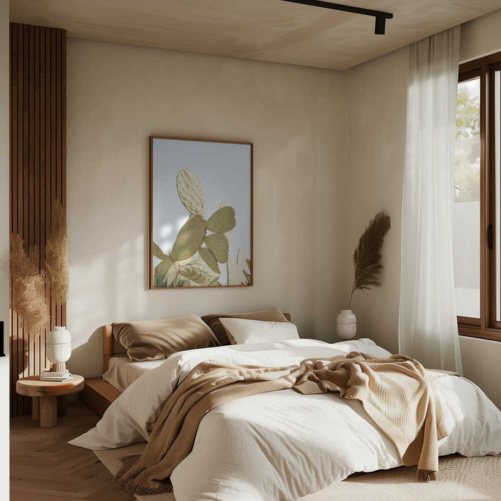 Sunlit Cactus - Stretched Canvas, Poster or Fine Art Print - I Heart Wall Art - Poster Print, Canvas Print or Framed Art Print