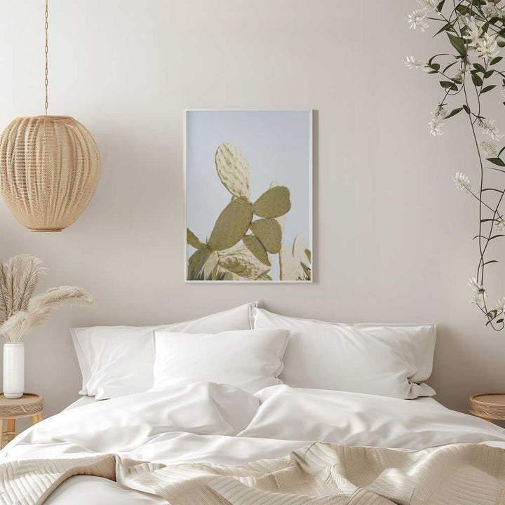 Sunlit Cactus - Stretched Canvas, Poster or Fine Art Print - I Heart Wall Art - Poster Print, Canvas Print or Framed Art Print