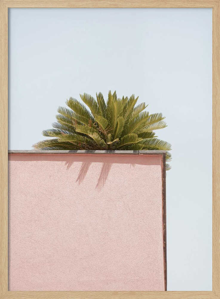 Sunlit Corner - Stretched Canvas, Poster or Fine Art Print - I Heart Wall Art - Poster Print, Canvas Print or Framed Art Print