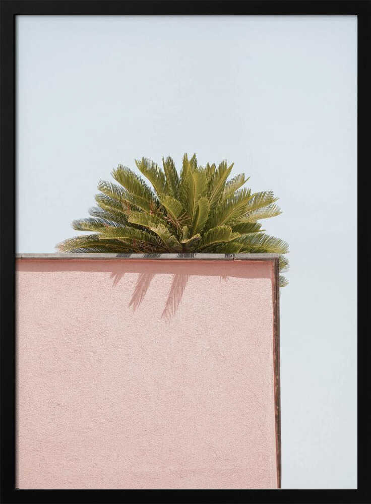 Sunlit Corner - Stretched Canvas, Poster or Fine Art Print - I Heart Wall Art - Poster Print, Canvas Print or Framed Art Print