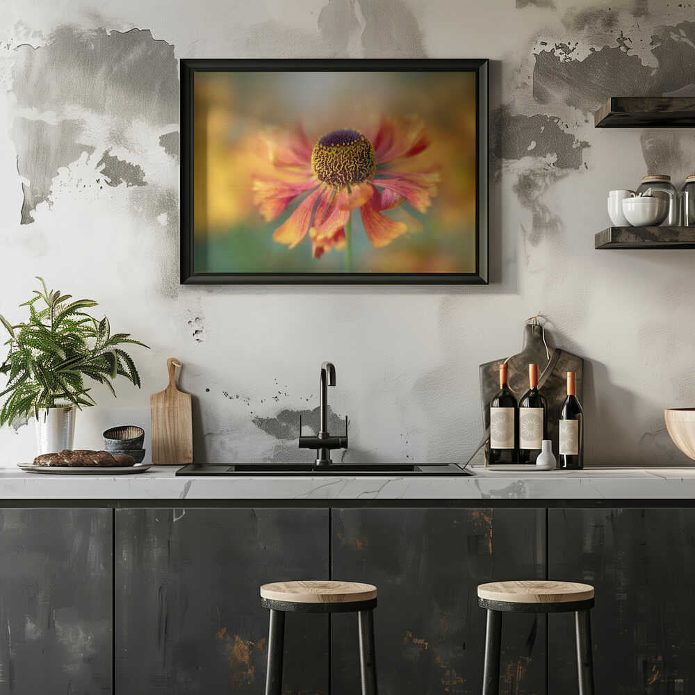 Sunlit Orange Flower - Floral Photographic Stretched Canvas Poster or Fine Art Print