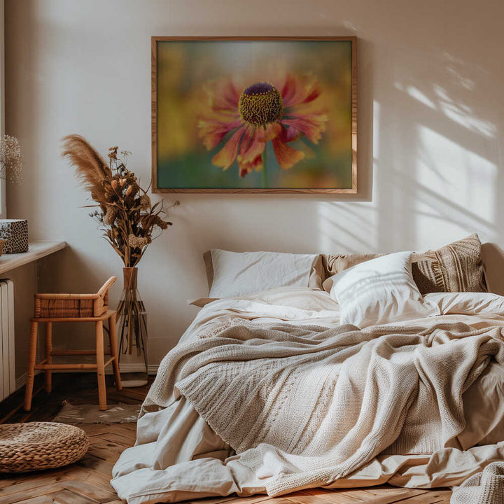 Sunlit Orange Flower - Floral Photographic Stretched Canvas Poster or Fine Art Print