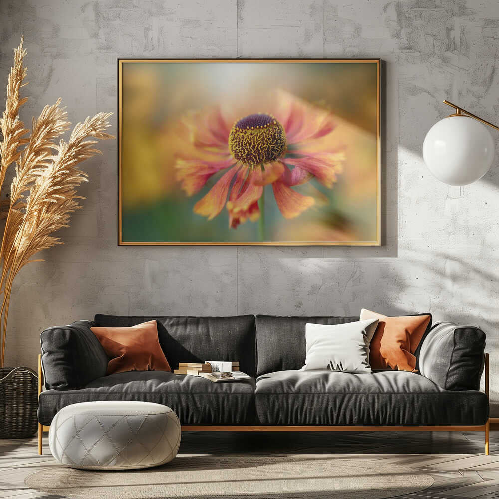 Sunlit Orange Flower - Floral Photographic Stretched Canvas Poster or Fine Art Print