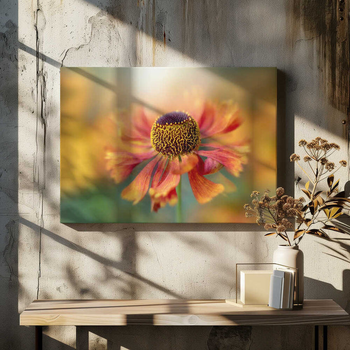 Sunlit Orange Flower - Floral Photographic Stretched Canvas Poster or Fine Art Print