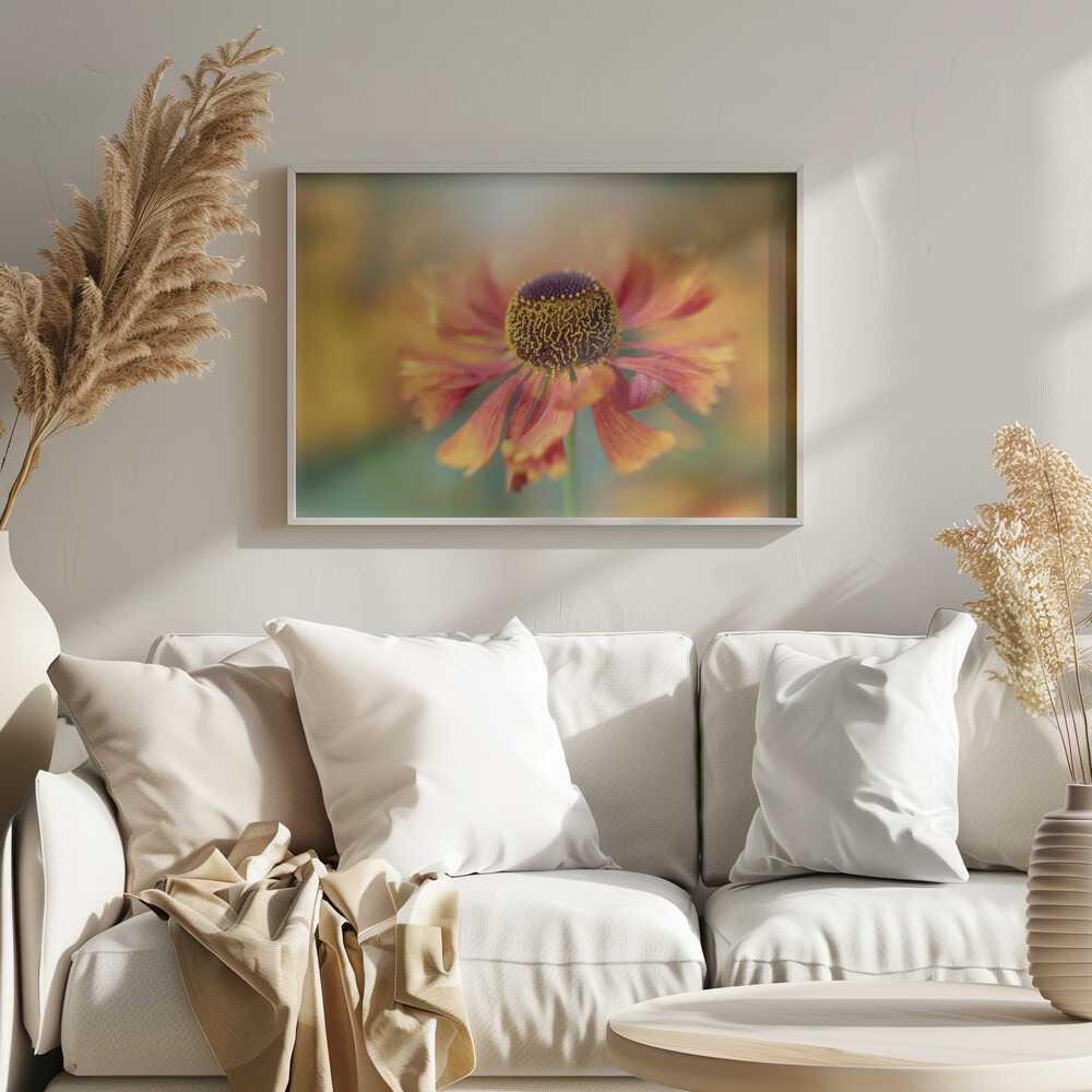 Sunlit Orange Flower - Floral Photographic Stretched Canvas Poster or Fine Art Print