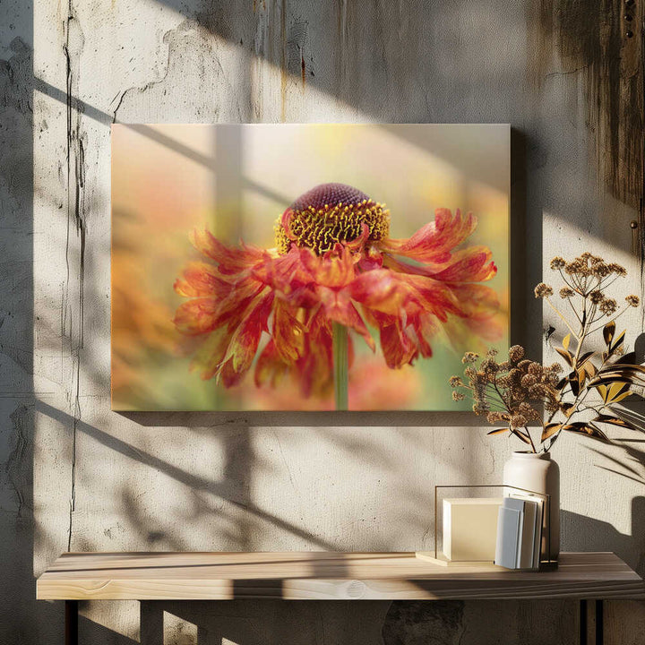 Sunny Orange Flower - Floral Photographic Stretched Canvas Poster or Fine Art Print
