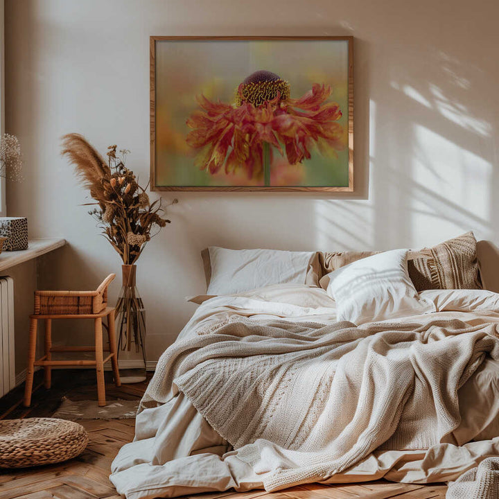 Sunny Orange Flower - Floral Photographic Stretched Canvas Poster or Fine Art Print