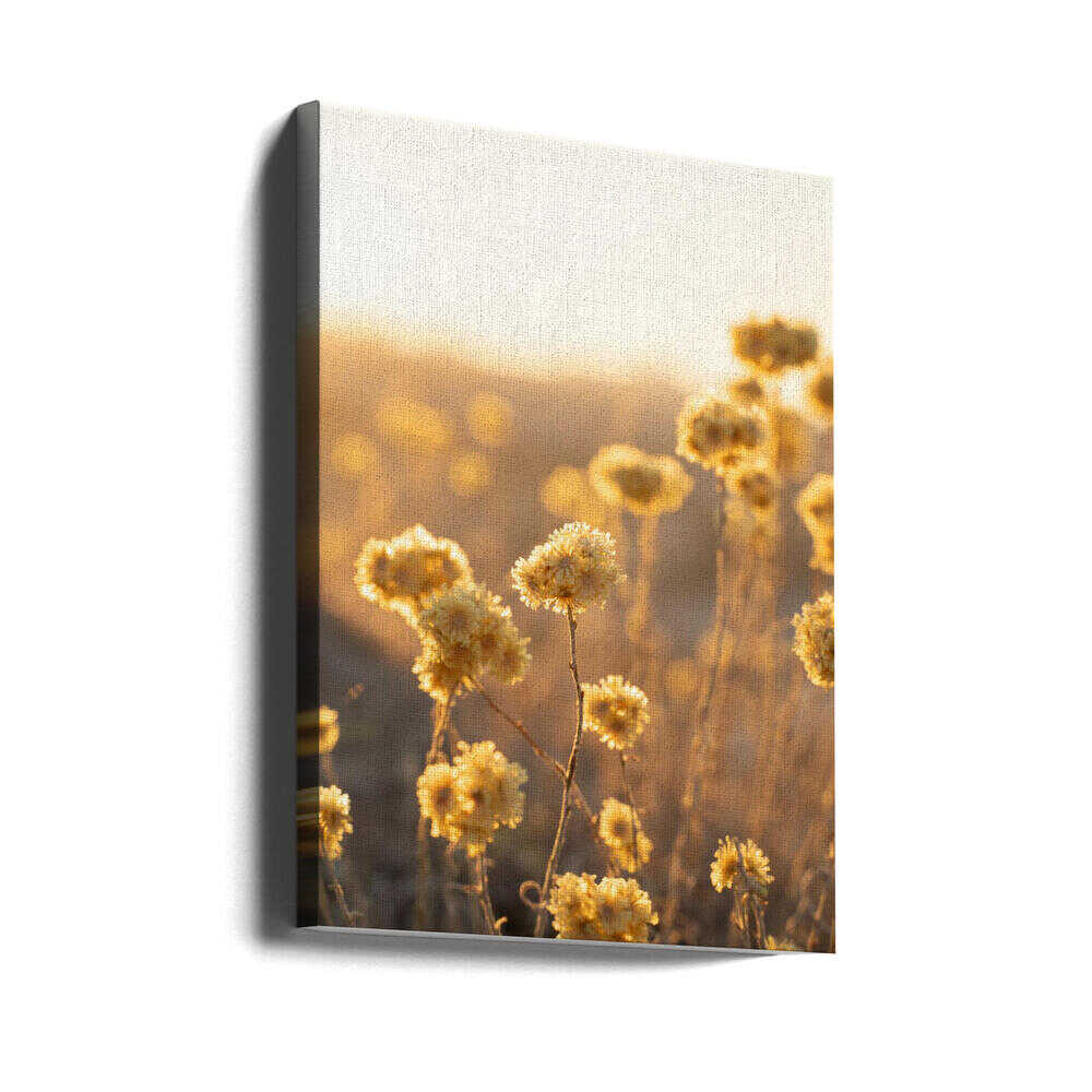 Sunrise in the Field - Stretched Canvas, Poster or Fine Art Print - I Heart Wall Art - Poster Print, Canvas Print or Framed Art Print
