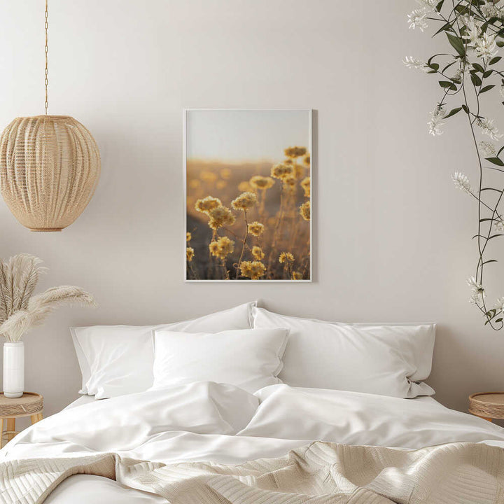 Sunrise in the Field - Stretched Canvas, Poster or Fine Art Print - I Heart Wall Art - Poster Print, Canvas Print or Framed Art Print