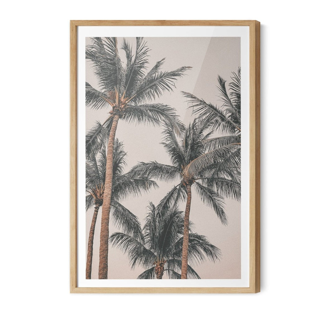 Sunset Palms I - Coastal Palm Photographic Art / Stretched Canvas Print - I Heart Wall Art - Poster Print, Canvas Print or Framed Art Print