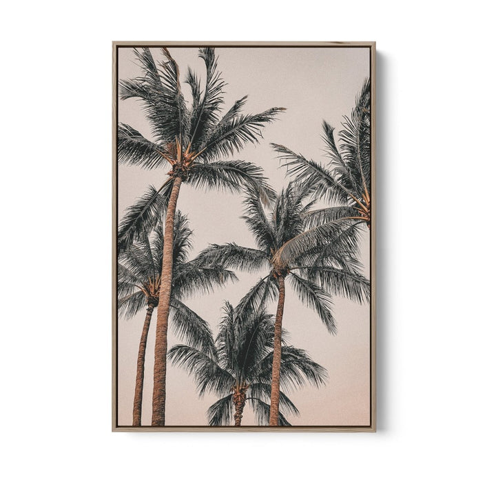 Sunset Palms I - Coastal Palm Photographic Art / Stretched Canvas Print - I Heart Wall Art - Poster Print, Canvas Print or Framed Art Print