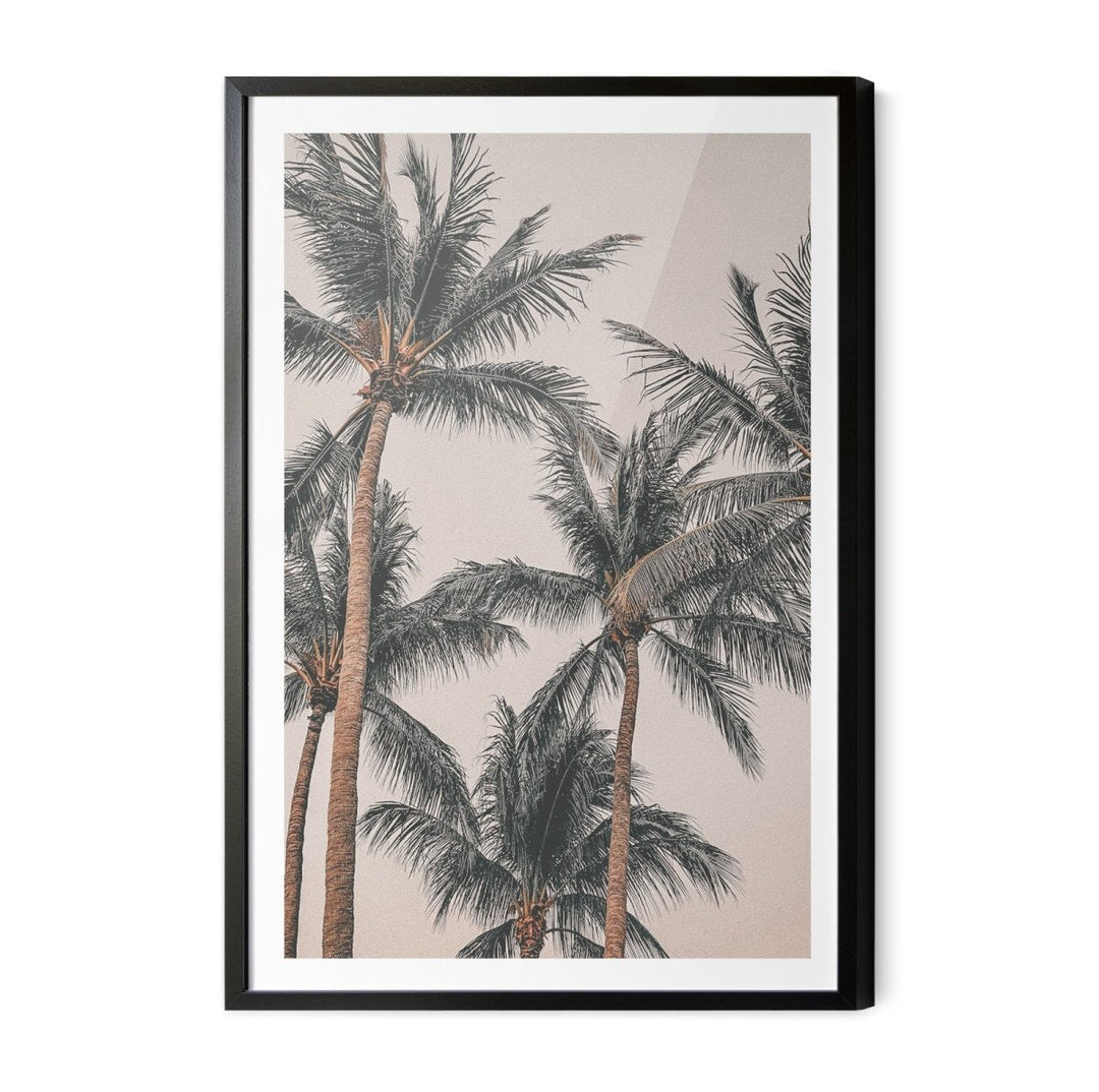 Sunset Palms I - Coastal Palm Photographic Art / Stretched Canvas Print - I Heart Wall Art - Poster Print, Canvas Print or Framed Art Print