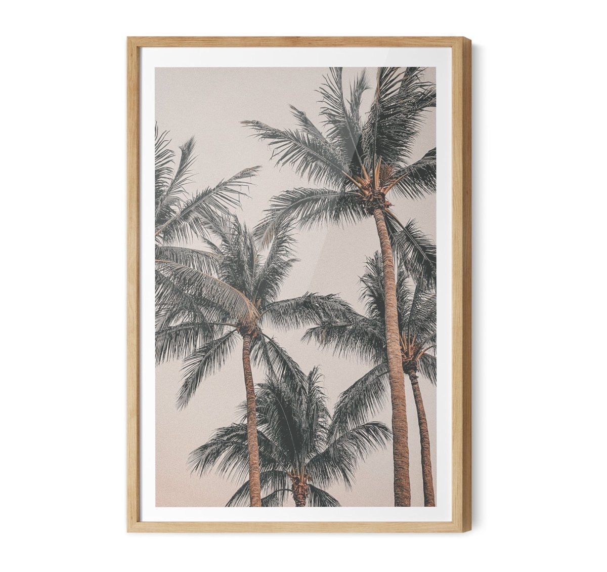 Sunset Palms II - Coastal Palm Photographic Art / Stretched Canvas Print - I Heart Wall Art - Poster Print, Canvas Print or Framed Art Print