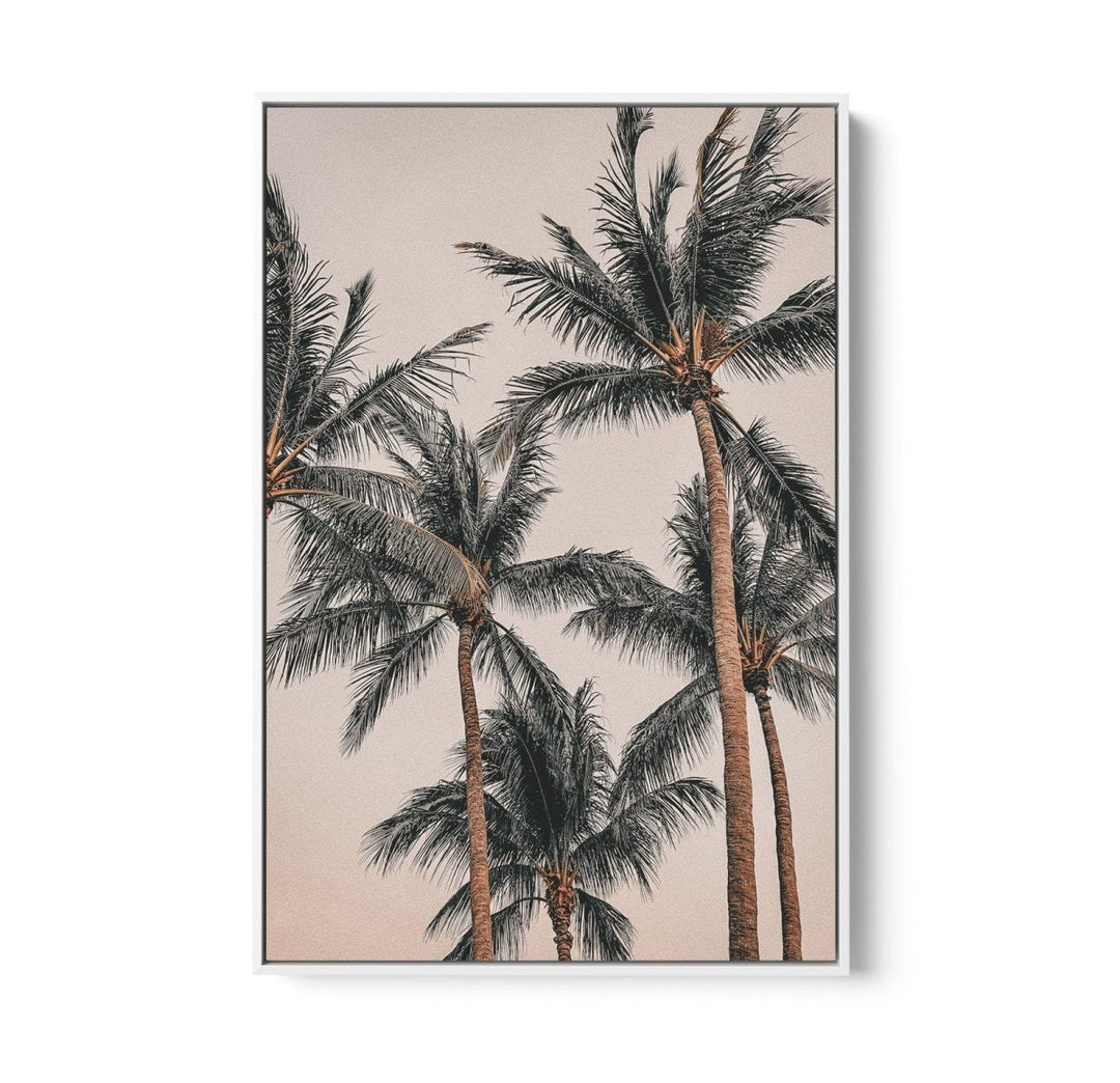 Sunset Palms II - Coastal Palm Photographic Art / Stretched Canvas Print - I Heart Wall Art - Poster Print, Canvas Print or Framed Art Print