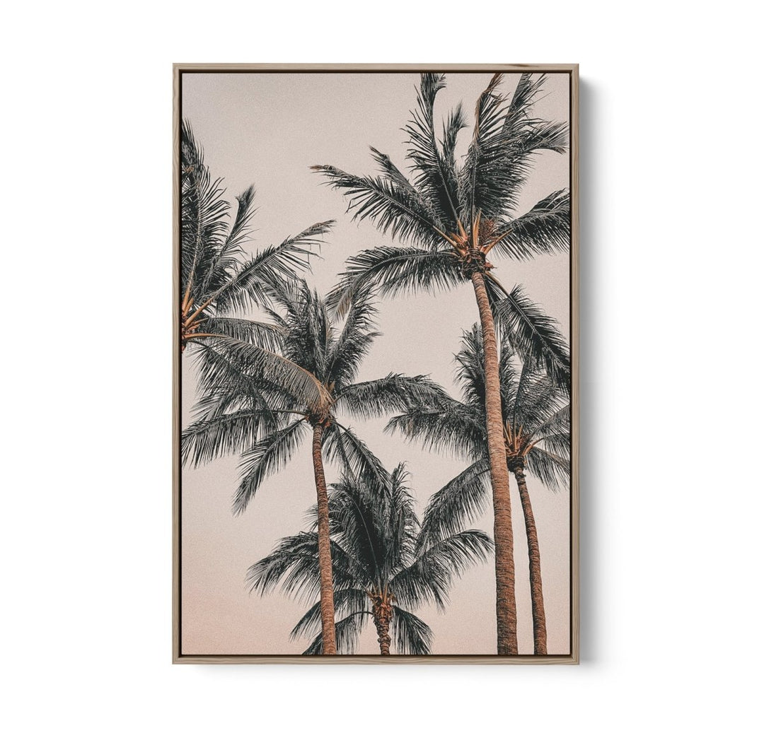 Sunset Palms II - Coastal Palm Photographic Art / Stretched Canvas Print - I Heart Wall Art - Poster Print, Canvas Print or Framed Art Print