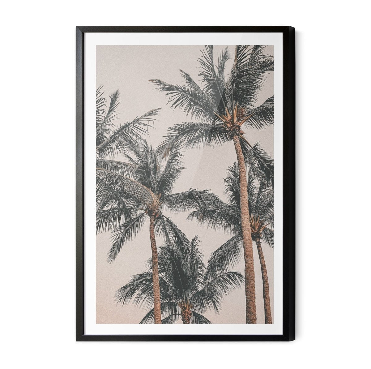 Sunset Palms II - Coastal Palm Photographic Art / Stretched Canvas Print - I Heart Wall Art - Poster Print, Canvas Print or Framed Art Print