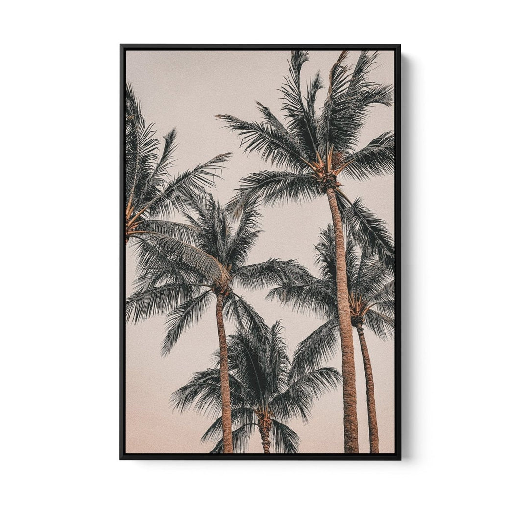 Sunset Palms II - Coastal Palm Photographic Art / Stretched Canvas Print - I Heart Wall Art - Poster Print, Canvas Print or Framed Art Print