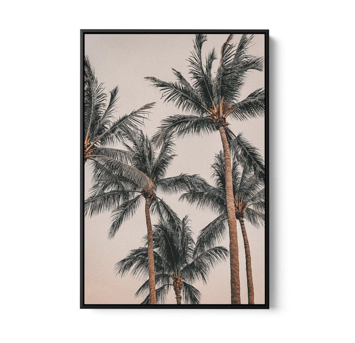 Sunset Palms II - Coastal Palm Photographic Art / Stretched Canvas Print - I Heart Wall Art - Poster Print, Canvas Print or Framed Art Print